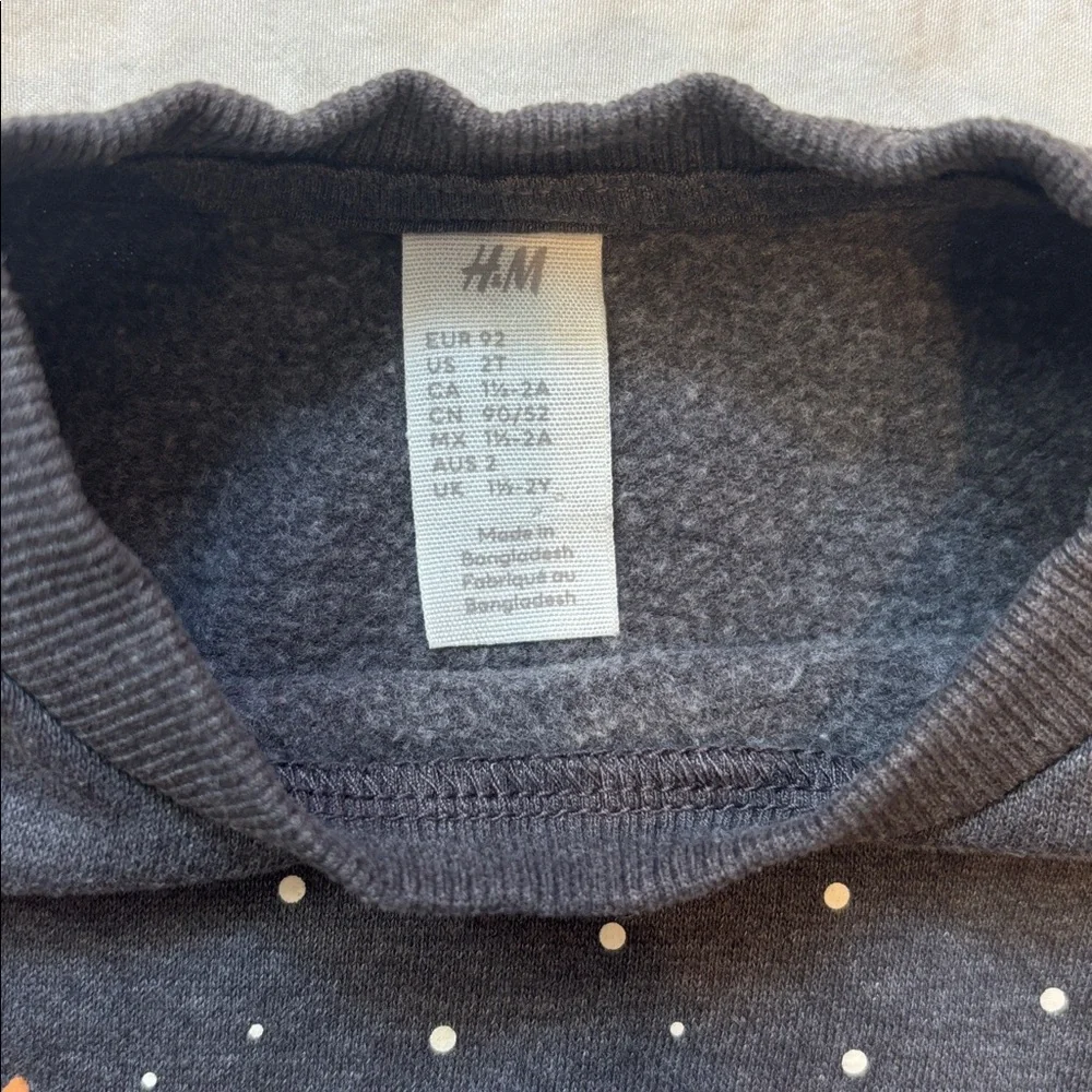 H&M Printed Sweatshirt Dark Grey Fox 2T